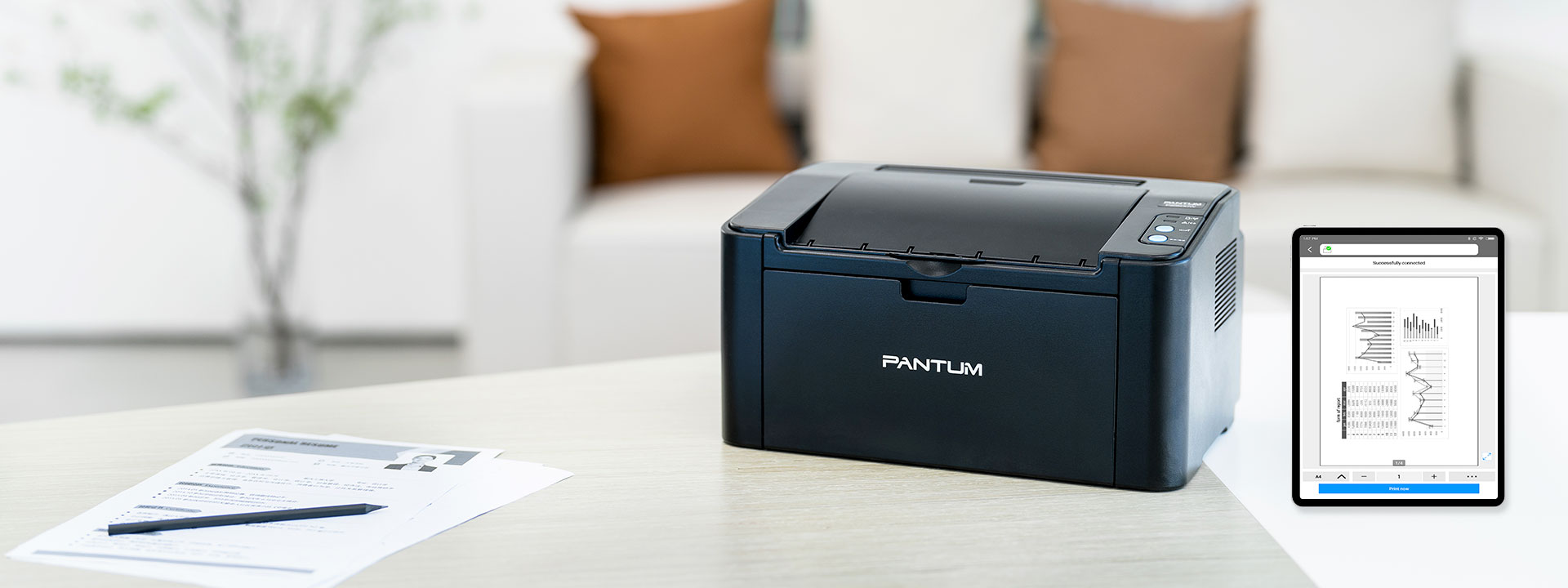 Pantum P2502W Imprimante Laser Noir et Blanc WiFi Compacte Monofonction  pour Maison et Bureau(A4, 22 ppm, AirPrint)20 - Cdiscount Informatique